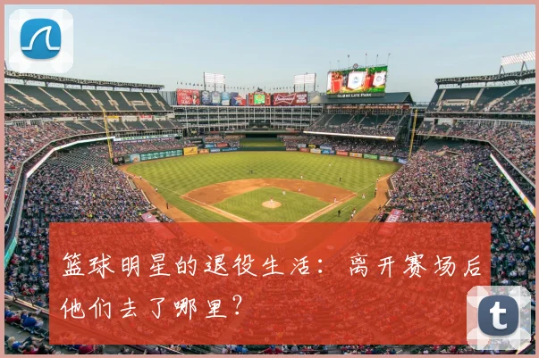 篮球明星的退役生活:离开赛场后他们去了哪里?