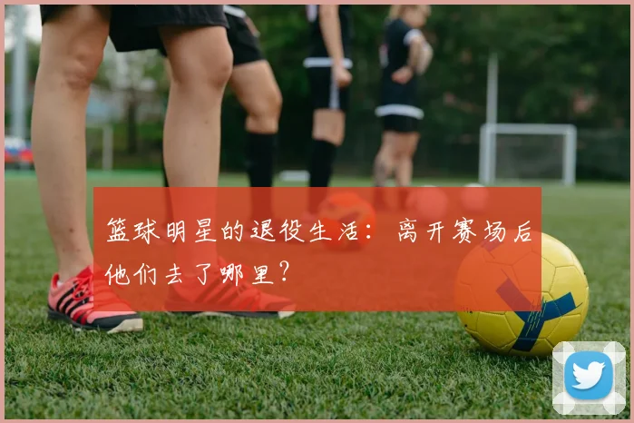 篮球明星的退役生活:离开赛场后他们去了哪里?